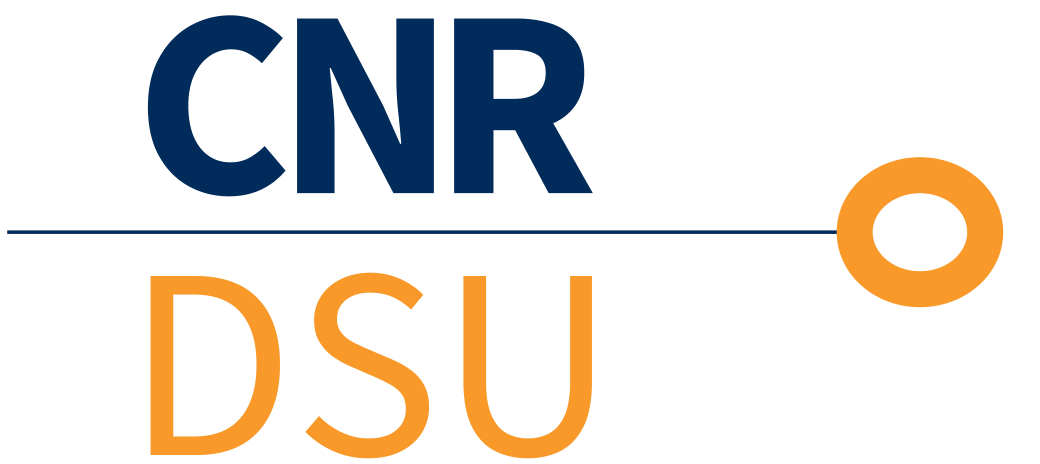 DSU CNR logo